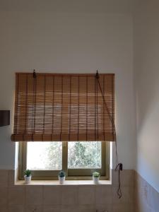 斯卡拉Yialos Studios的相册照片