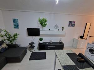 TV a/nebo společenská místnost v ubytování Alexa Studio with views