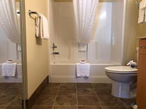 Koupelna v ubytování Aspen Suites Hotel Juneau