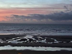 Naturlandskabet i nærheden af lejligheden