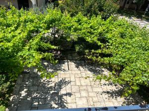 Κήπος έξω από το Apartment Bianco