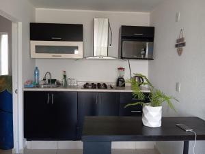 eine Küche mit schwarzen Schränken und einer Topfpflanze in der Unterkunft Departamento con alberca in Tecolote