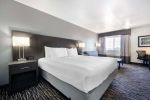 a hotel room with a large bed and a desk at Best Western Santa Fe in Amarillo +17 photos