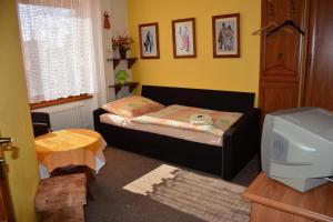 a small bedroom with a small bed and a television at Guest House Penzión Milka in Smižany