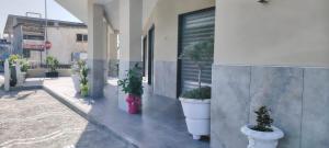 Κήπος έξω από το Bed & Breakfast Cannavacciuolo +10 φωτογραφίες