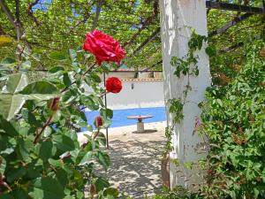 Κήπος έξω από το Malpesa Rural