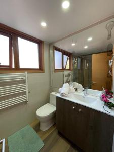 a bathroom with a sink and a toilet and a mirror at habitación casa familiar in Valdivia