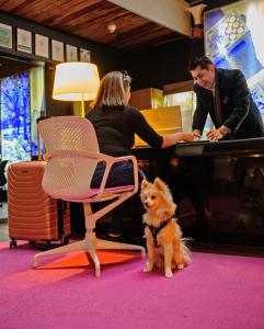 a group of people sitting at a piano with a dog at Las Suites Campos Eliseos in Mexico City