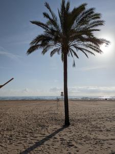 eine Palme an einem Strand mit ihrem Schatten in der Unterkunft Apartamento Los Juncos - 50m playa - Sólo familias - Parking gratuito - WIFI - TV 55" 4K - PS5 in Playa de Gandia