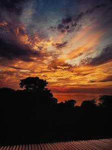 乌维塔Ballena Paraíso Lodge的海面上的日落,在前方有一棵树 更多38张照片