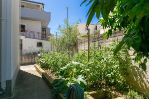 Zahrada ubytování Apartment Podstrana 17586b + 15 fotografií