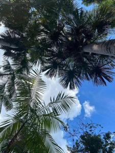 Fotografie z fotogalerie ubytování Chácara com chalé v destinaci Carolina