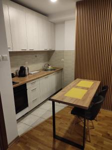 Kuchyň nebo kuchyňský kout v ubytování DJS studio Skopje