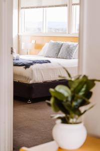 Φωτογραφία από το άλμπουμ του York Cove Hotel σε George Town