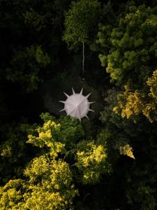 Foto sihtkohas Rawdon asuva majutusasutuse Hôtel UNIQ - Forêt Ô Cascades galeriist