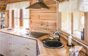a kitchen with a sink in a wooden kitchen at Three-Bedroom Holiday Home In Milakowo in Miłakowo
