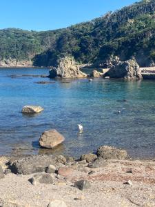 Paesaggio naturale nelle vicinanze dell'appartamento