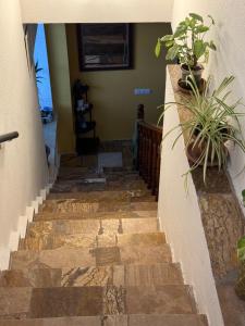エレバンにあるRoom in Lake View Houseの鉢植えの壁掛け階段