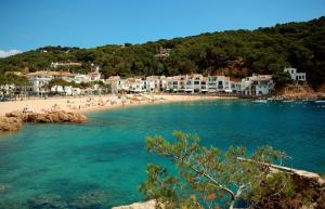 a beach with a bunch of people in the water at Mar Bona in Tamariu