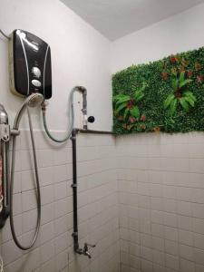 a shower in a bathroom with a plant on the wall at The Garden Homestay Kemaman in Kemaman