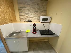 eine kleine Küche mit Spüle und Mikrowelle in der Unterkunft studio 5- les moulins in Cherbourg en Cotentin