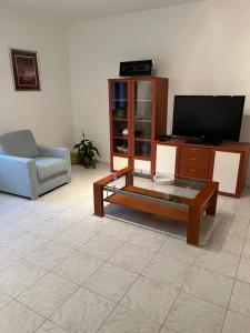 TV a/nebo společenská místnost v ubytování Apartmaji Klabjan - Kaki