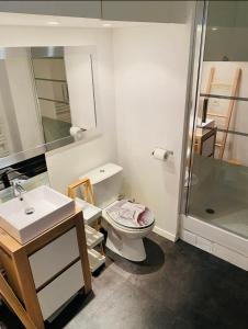 レンヌにあるCharmant T2 Rennes Gare Parking Privé !のトイレ、洗面台、シャワー付きのバスルーム