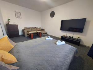 a living room with a bed and a flat screen tv at Apartament Kalwaria Piekary in Piekary Śląskie