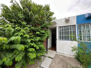 a house with a large tree next to a door at Casa San Pedro in Los Órganos