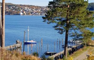 a group of boats docked at a dock on a lake at 1 Bedroom Cozy Home In Sætre in Sætre +14 photos