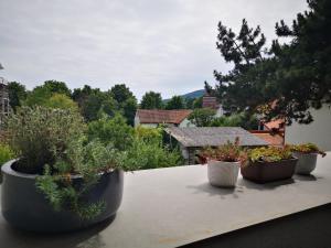 Vonkajšia záhrada v ubytovaní Spacy Apartment next to the center of Graz with terrasse