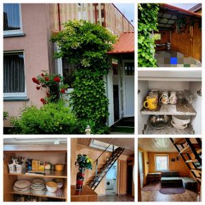 a collage of photos of a house with plants at Strazdų namelis in Palanga
