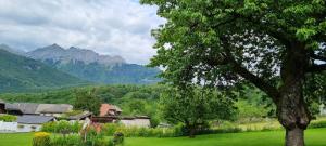 Naturlandskabet i nærheden af feriehuset