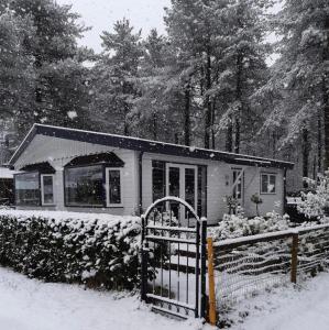 Luxe vakantiehuis in het bos v zimě