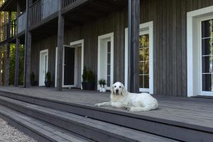 Gallery image of Svedresort in Švedriškė +32 photos