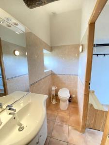 a bathroom with a sink and a toilet at LA CONFISERIE in Saint-Sauveur-de-Cruzières +7 photos