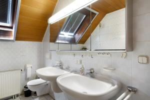 Ένα μπάνιο στο Ferienhaus am Rhein +19 φωτογραφίες