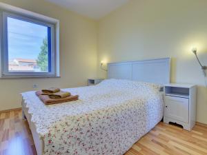 a bedroom with a bed and a window at Apartments Spirit of Istria in Truške
