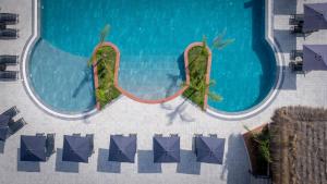 Kolam renang di atau dekat dengan Acros Resort