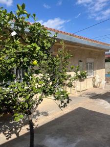 a lemon tree in front of a house at Casita Rural CANTONAL in Valencia