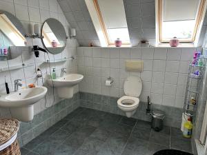 a bathroom with a sink and a toilet and a mirror at B&B de Wiekeborg in Oude Pekela +67 photos
