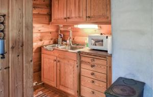a small kitchen with a sink and a microwave at Holiday Home Vråliosen Bandaksliv, in Bandaksli