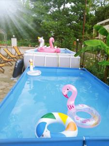 Piscina di Hotel Lotus o nelle vicinanze