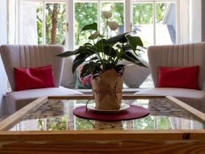 Foto dalla galleria di Treehouse On Maple a Johannesburg