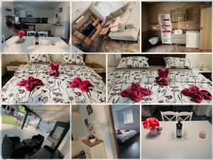 Kuchyň nebo kuchyňský kout v ubytování Apartmani LU&LO