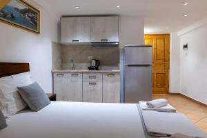 Kuchyň nebo kuchyňský kout v ubytování Apart Hotel Alex