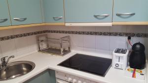 Kuchyň nebo kuchyňský kout v ubytování Apartamenticos Boggiero II
