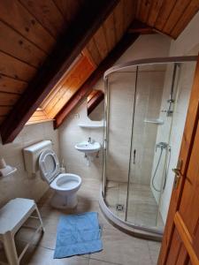 a bathroom with a shower and a toilet and a sink at Morvai Panzió in Mogyoród