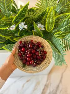 Cibo presso l'appartamento o nelle vicinanze