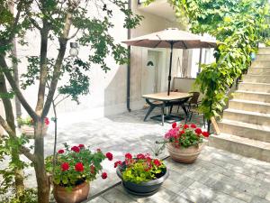 Zahrada ubytování Apartment Poreč